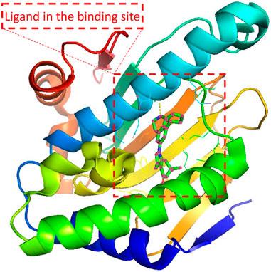 Energy-based generative models for target-specific drug discovery